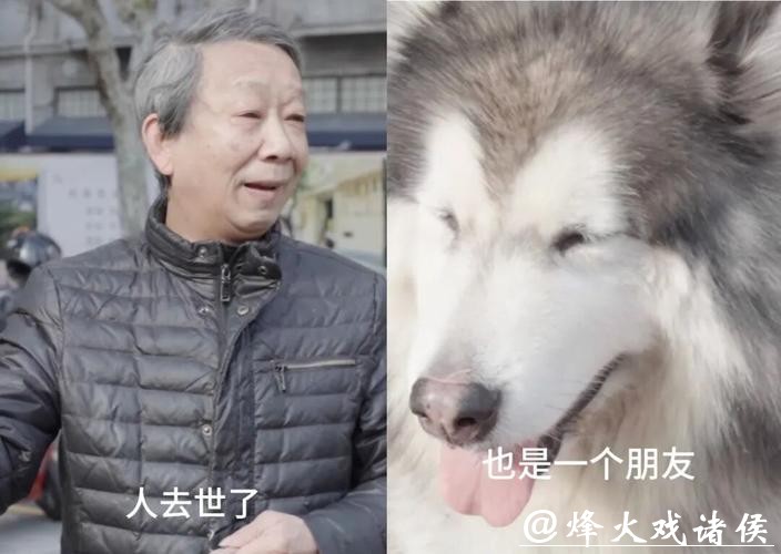 好友突然离世!上海爷叔继承了其“最宝贵”的遗产!网友泪目:讲义气…… 好友突然离世!上海爷叔继承了其“最宝贵”的遗产!网友泪目:讲义气……